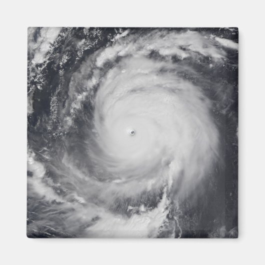 西太平洋海 マグネット (正面)