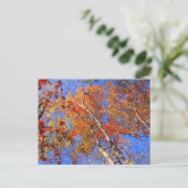 西山秋のホット春国立公園の贈り物 ポストカード (スタンド正面)