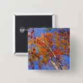 西山秋のホット春国立公園の贈り物 缶バッジ (正面&裏面)