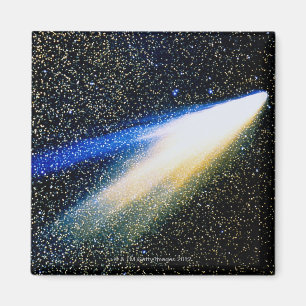 西彗星 マグネット