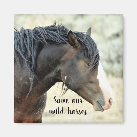 西救の野生の口ひげ マグネット (正面)