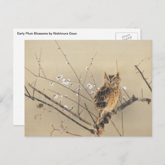 西村後雲の早咲きの梅の花、ヴィンテージのフクロウ ポストカード (正面/裏面)