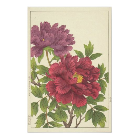 西村芳堂の芍薬 日本の花 印刷 ポスター (正面)