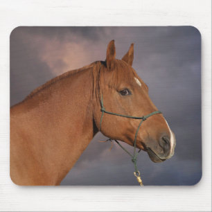 西栗茶色の馬 マウスパッド