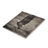 西欧諸国愛国心が強い米国のアメリカの白頭鷲 タイル (側面)