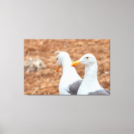 西洋のカモメ キャンバスプリント