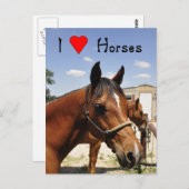西洋の馬が好きです 馬のポストカード ポストカード (正面/裏面)