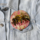 西洋ミツバチマクロ 缶バッジ (インサイチュ)