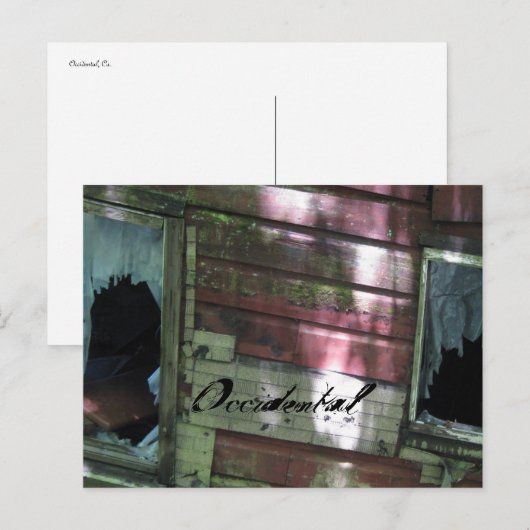 西洋人、Ca. ポストカード (正面/裏面)