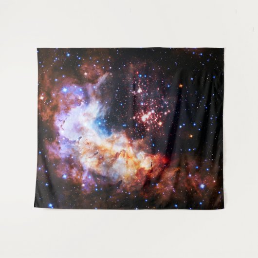 西洋式2大 タペストリー (正面(横))