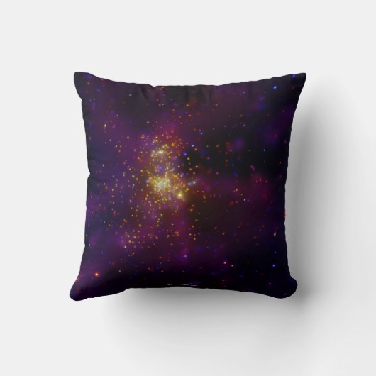 西洋風2 クッション (裏面)