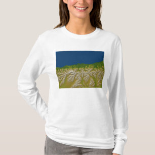 西海岸に沿う高山の欠陥 Tシャツ