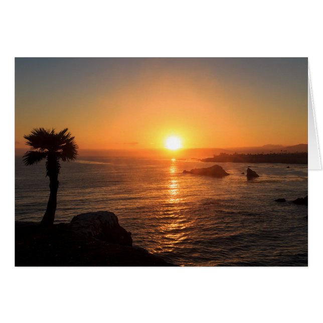 西海岸の日没 (正面横)