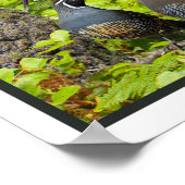 西特別版の裏庭の鳥 ポスター (角)