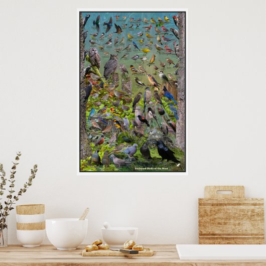 西特別版の裏庭の鳥 ポスター (キッチン)