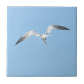 西王室の海の青の飛行 タイル (正面)