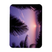 西端の夕日、ケイマン・ブラック、ケイマン諸島、 マグネット (縦)