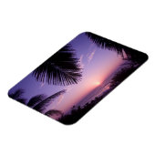 西端の夕日、ケイマン・ブラック、ケイマン諸島、 マグネット (左側)