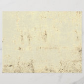 西素朴牛のスカルブラックテクスチャのデコページ (裏面)