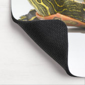 西絵を描亀（クリュセミス・ピクタ・ベリィ）、 マウスパッド (コーナー)