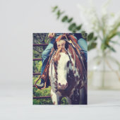 西絵を描馬 ポストカード (スタンド正面)