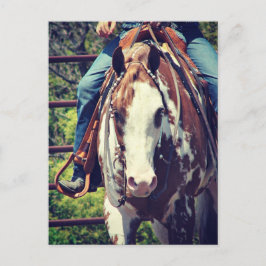 西絵を描馬 ポストカード