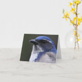 西部のごしごし洗ジェイ-ジョーSweeney -カード カード (黄色い花)