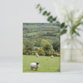 西部のアイルランドの広いDingle半島 ポストカード (スタンド正面)