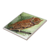 西部のアメリカオオコノハズク タイル (側面)