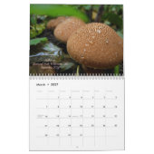 西部のオレゴン2011年のきのこ カレンダー (3月 2027)