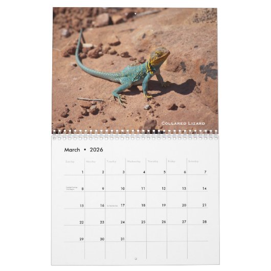 西部のコロラド州の写真のカレンダー カレンダー (3月 2026)