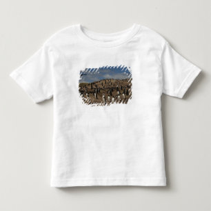 西部のジェンツーペンギン (Pygoscelis papua) コロニー トドラーTシャツ
