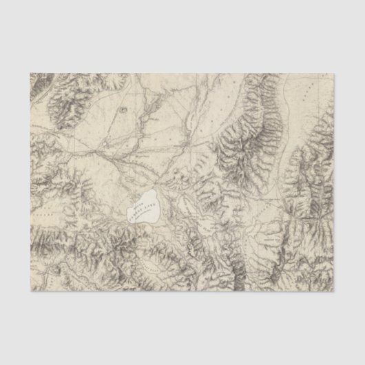 西部のネバダ 薄葉紙 (正面)