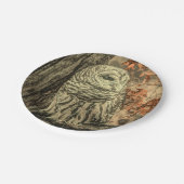 西部の国の紅葉オークの木の白フクロウ ペーパープレート (アングル)