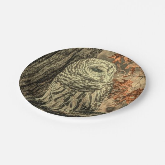 西部の国の紅葉オークの木の白フクロウ ペーパープレート (アングル)