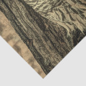 西部の国の紅葉オークの木の白フクロウ 薄葉紙 (詳細)