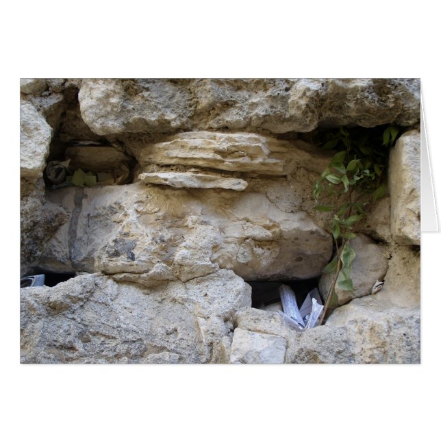 西部の壁 (正面横)