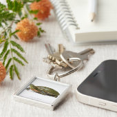 西部の色彩の鮮やかなカメ(Chrysemysのpictaのbellii)、 キーホルダー (側面)