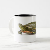 西部の色彩の鮮やかなカメ(Chrysemysのpictaのbellii)、 ツートーンマグカップ (正面左)