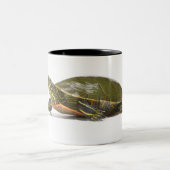 西部の色彩の鮮やかなカメ(Chrysemysのpictaのbellii)、 ツートーンマグカップ (中央)