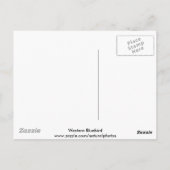 西部のBluebird女性1葉書 ポストカード (裏面)