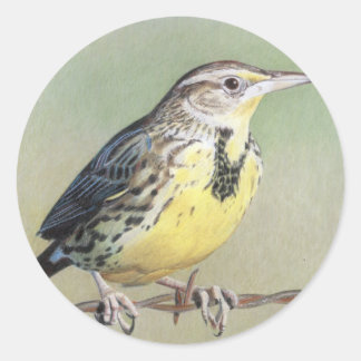 西部のMeadowlark ラウンドシール