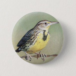 西部のMeadowlark 缶バッジ
