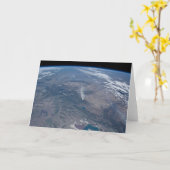 西部及び南西部の野火。 カード (黄色い花)