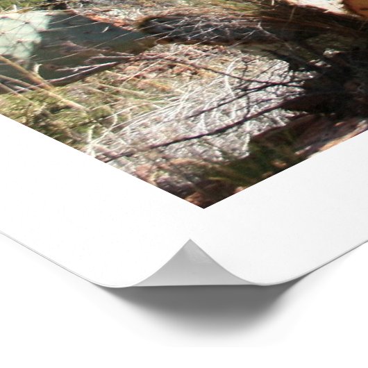 西部景観 ポスター (角)