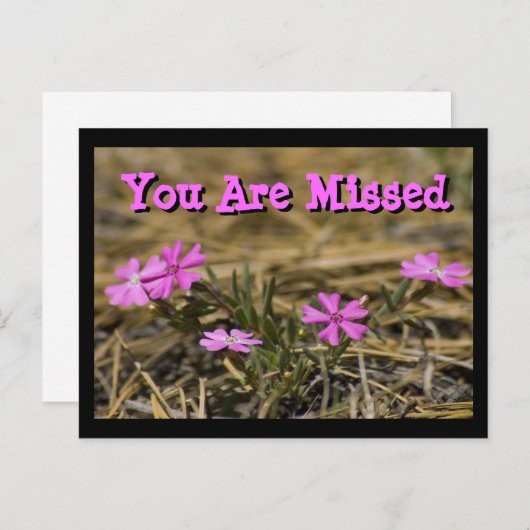 西部派手な紫色のフロックスワイルドフラワーカスタム ポストカード (正面/裏面)