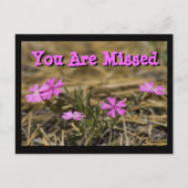 西部派手な紫色のフロックスワイルドフラワーカスタム ポストカード (正面)