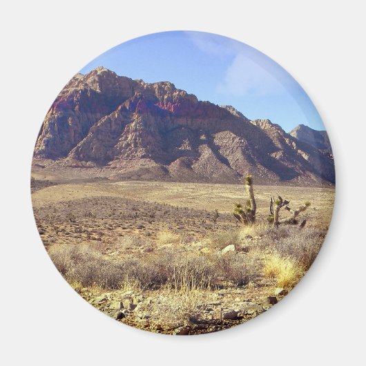 西部荒廃 マグネット (正面)