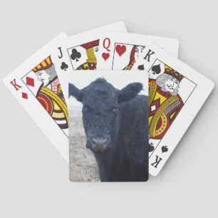 西部雨浸されたぬれた投票された牛顔の牛 トランプ