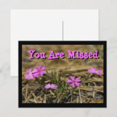 西部 ショウヨウハクチョウのワイルドフラワーカスタム ポストカード (正面/裏面)